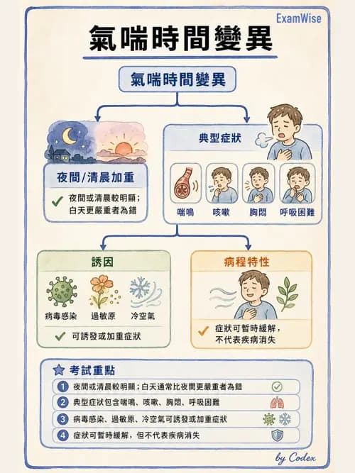 呼吸治療師 - 慢性氣道疾病 - AI 圖文解析預覽