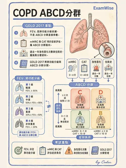 呼吸治療師 - 慢性氣道疾病 - AI 圖文解析預覽