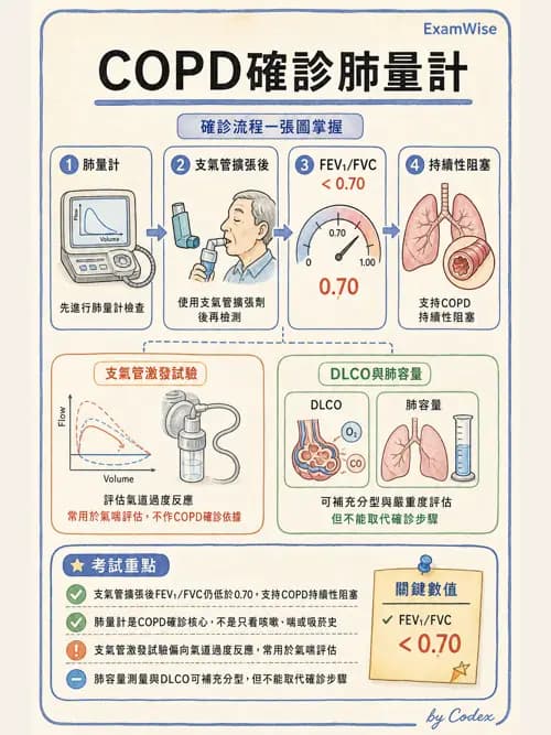 呼吸治療師 - 慢性氣道疾病 - AI 圖文解析預覽