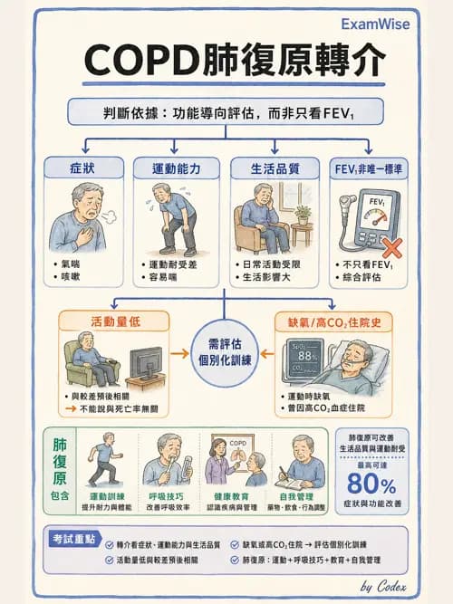 呼吸治療師 - 慢性氣道疾病 - AI 圖文解析預覽
