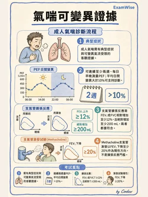 呼吸治療師 - 慢性氣道疾病 - AI 圖文解析預覽