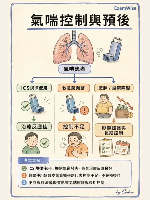 呼吸治療師 - 慢性氣道疾病 - AI 圖文解析預覽