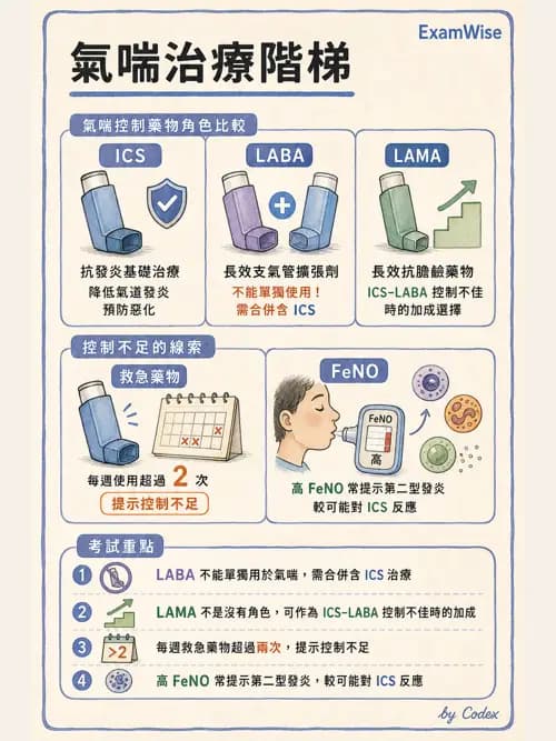 呼吸治療師 - 慢性氣道疾病 - AI 圖文解析預覽