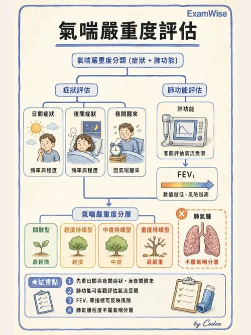 呼吸治療師 - 慢性氣道疾病 - AI 圖文解析預覽