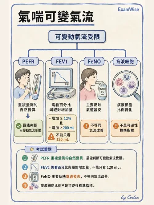 呼吸治療師 - 慢性氣道疾病 - AI 圖文解析預覽