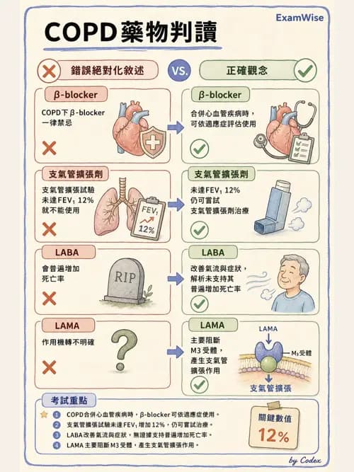 呼吸治療師 - 慢性氣道疾病 - AI 圖文解析預覽