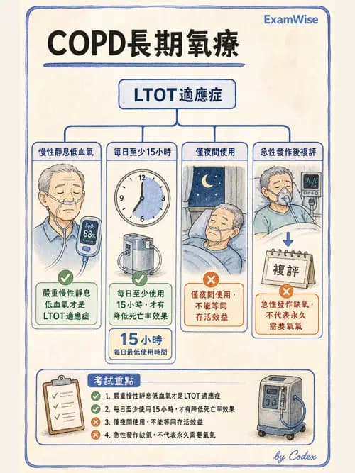 呼吸治療師 - 慢性氣道疾病 - AI 圖文解析預覽
