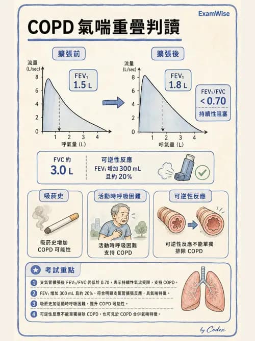 呼吸治療師 - 慢性氣道疾病 - AI 圖文解析預覽