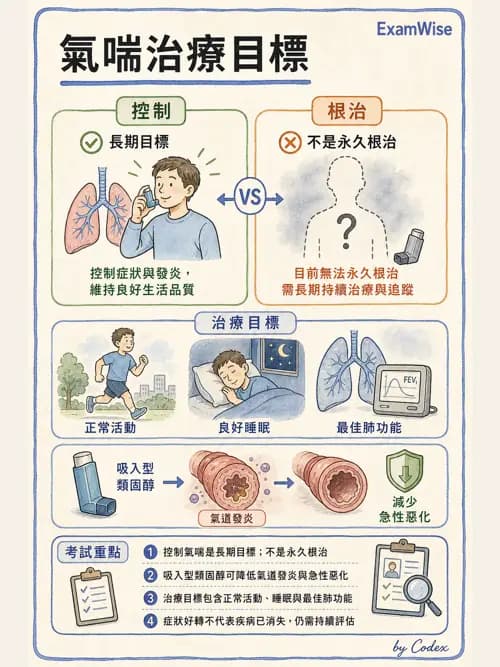 呼吸治療師 - 慢性氣道疾病 - AI 圖文解析預覽