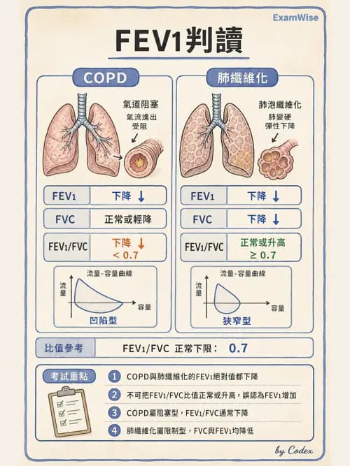 呼吸治療師 - 慢性氣道疾病 - AI 圖文解析預覽