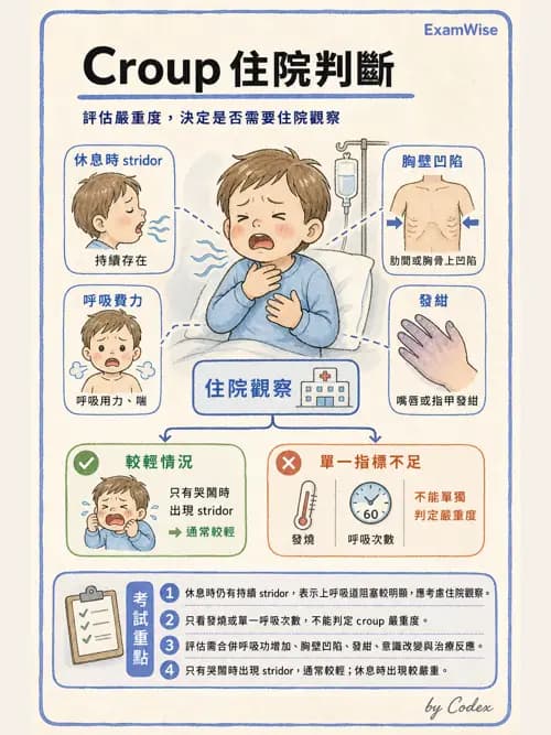呼吸治療師 - 兒童呼吸系統疾病 - AI 圖文解析預覽