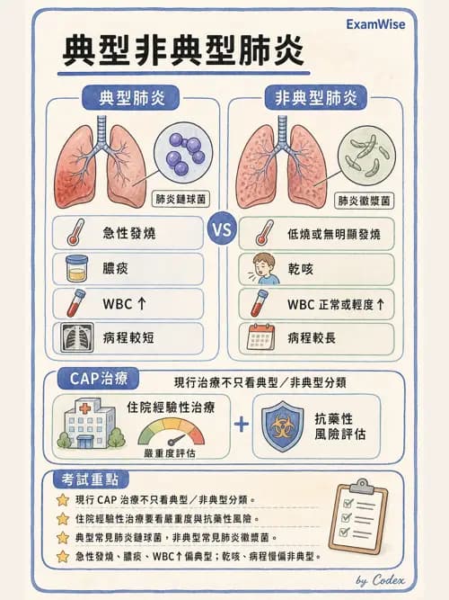 呼吸治療師 - 感染性肺疾 - AI 圖文解析預覽