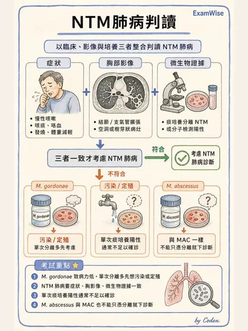 呼吸治療師 - 感染性肺疾 - AI 圖文解析預覽