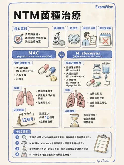 呼吸治療師 - 感染性肺疾 - AI 圖文解析預覽