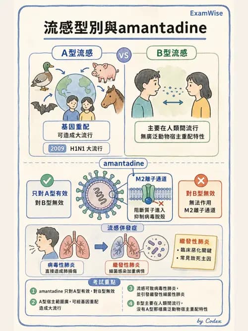 呼吸治療師 - 感染性肺疾 - AI 圖文解析預覽