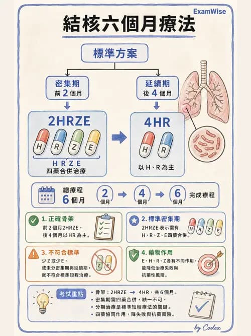 呼吸治療師 - 感染性肺疾 - AI 圖文解析預覽