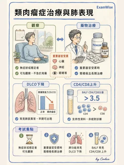 呼吸治療師 - 肺間質病變 - AI 圖文解析預覽