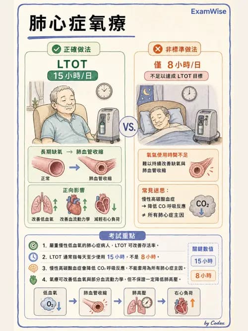 呼吸治療師 - 肺間質病變 - AI 圖文解析預覽