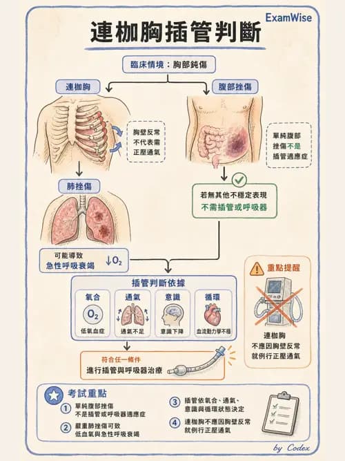呼吸治療師 - 外力傷害與胸廓病變 - AI 圖文解析預覽
