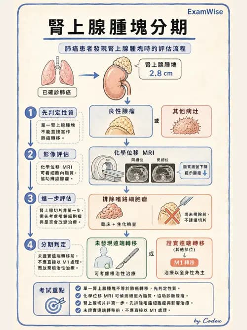 呼吸治療師 - 神經肌肉病變與腫瘤 - AI 圖文解析預覽