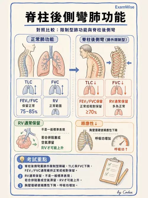 呼吸治療師 - 外力傷害與胸廓病變 - AI 圖文解析預覽