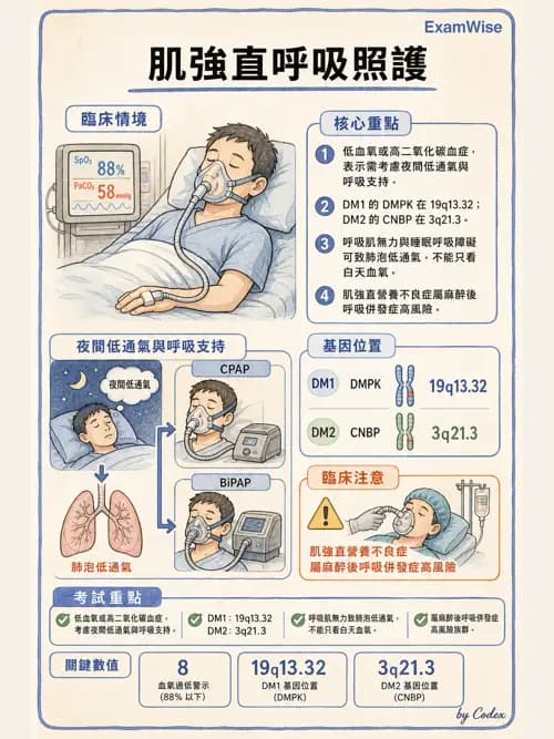 呼吸治療師 - 神經肌肉病變與腫瘤 - AI 圖文解析預覽