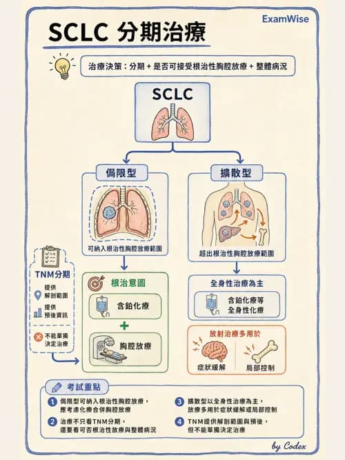 呼吸治療師 - 神經肌肉病變與腫瘤 - AI 圖文解析預覽