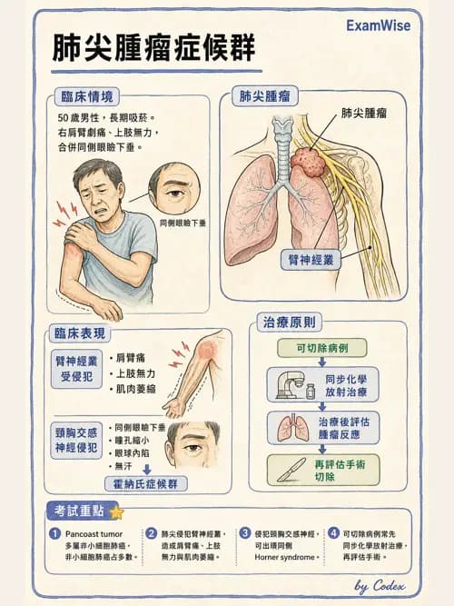 呼吸治療師 - 神經肌肉病變與腫瘤 - AI 圖文解析預覽