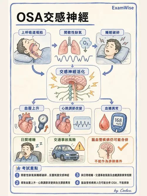 呼吸治療師 - 睡眠相關呼吸障礙 - AI 圖文解析預覽