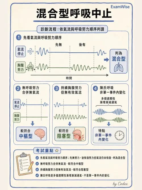 呼吸治療師 - 睡眠相關呼吸障礙 - AI 圖文解析預覽
