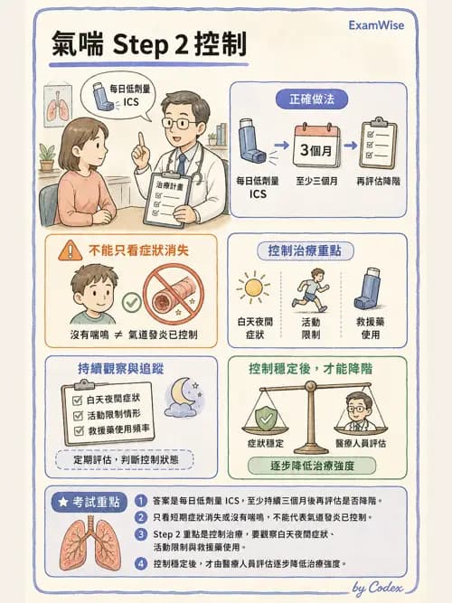 呼吸治療師 - 兒童呼吸系統疾病 - AI 圖文解析預覽