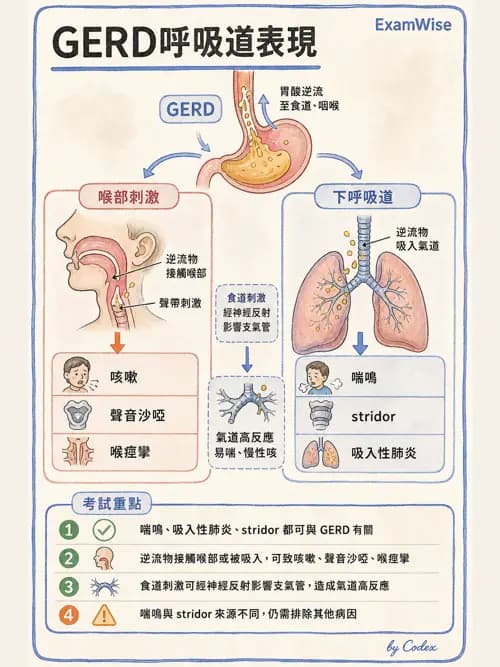 呼吸治療師 - 兒童呼吸系統疾病 - AI 圖文解析預覽