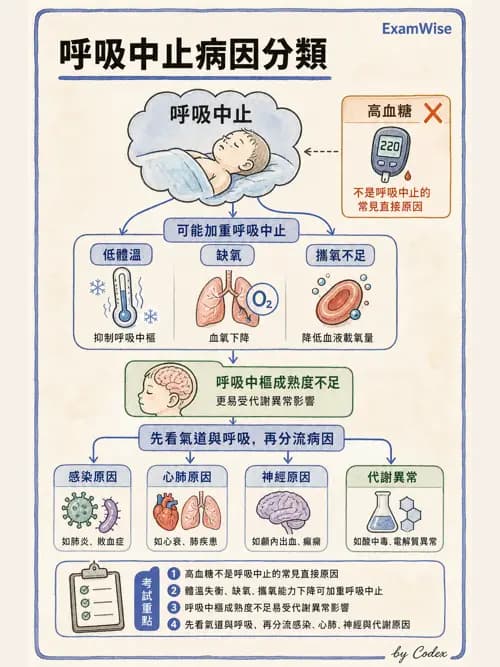 呼吸治療師 - 兒童呼吸系統疾病 - AI 圖文解析預覽