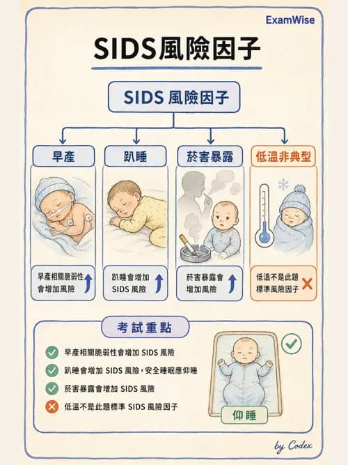 呼吸治療師 - 兒童呼吸系統疾病 - AI 圖文解析預覽