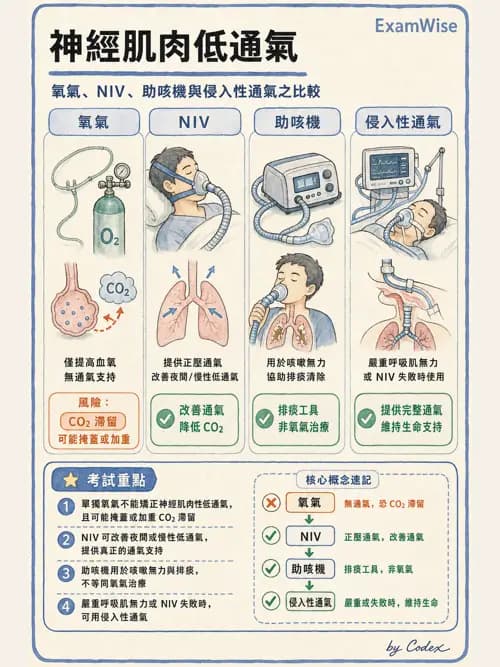 呼吸治療師 - 神經肌肉病變與腫瘤 - AI 圖文解析預覽