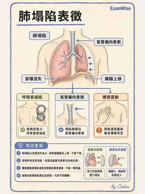 呼吸治療師 - 病人評估與衛教 - AI 圖文解析預覽