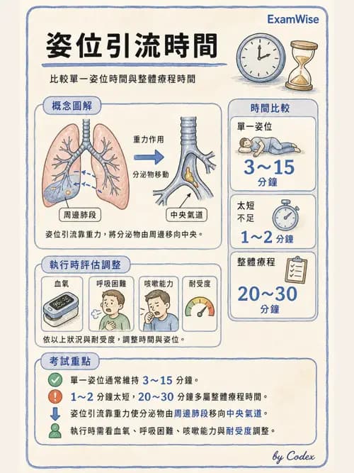 呼吸治療師 - 病人評估與衛教 - AI 圖文解析預覽