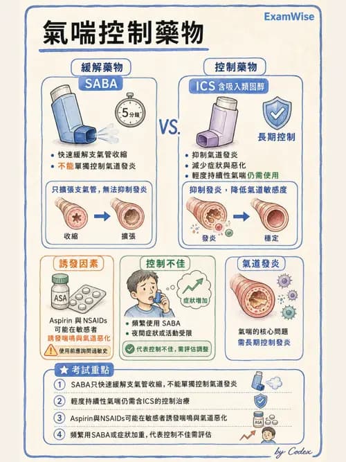 呼吸治療師 - 病人評估與衛教 - AI 圖文解析預覽