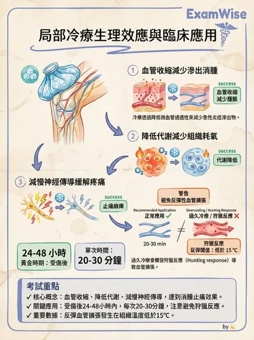 護理師 - 冷熱療法 - AI 圖文解析預覽