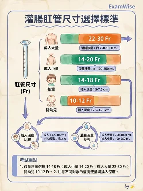 護理師 - 腸道排泄與灌腸護理 - AI 圖文解析預覽