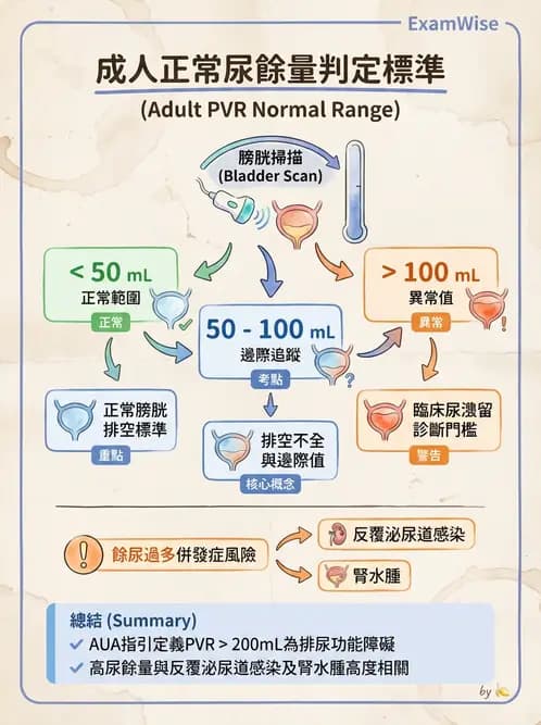 護理師 - 泌尿排泄與導尿護理 - AI 圖文解析預覽