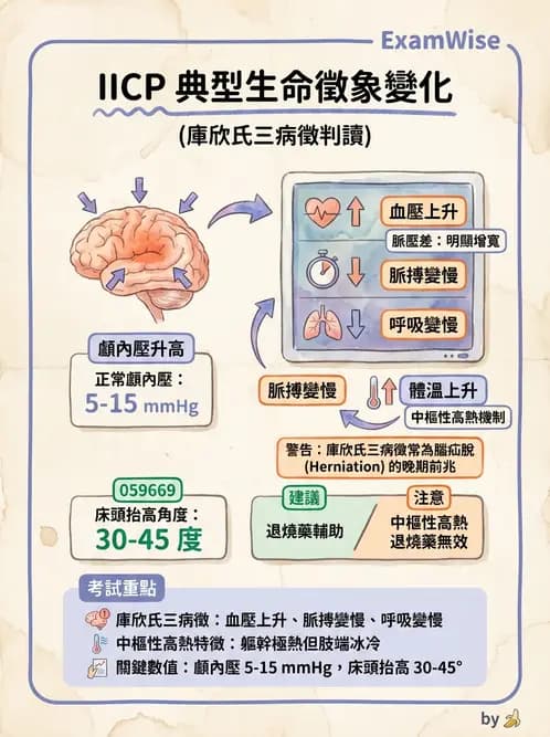 護理師 - 體溫與呼吸評估 - AI 圖文解析預覽
