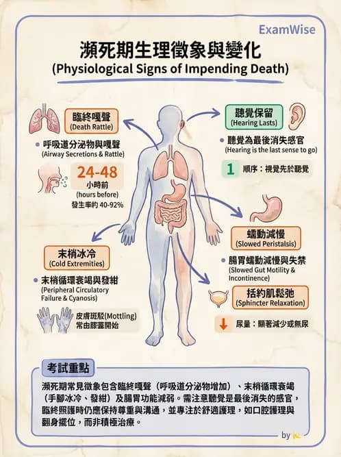 護理師 - 臨終與哀傷護理 - AI 圖文解析預覽