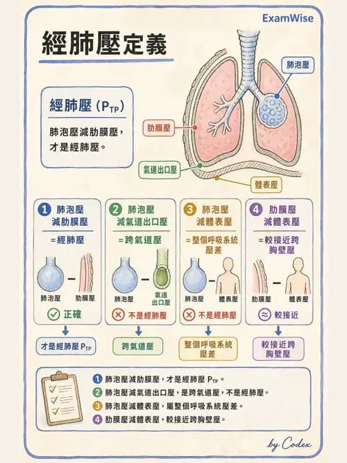 呼吸治療師 - 通氣、呼吸力學與控制 - AI 圖文解析預覽
