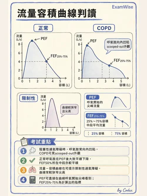 呼吸治療師 - 通氣、呼吸力學與控制 - AI 圖文解析預覽