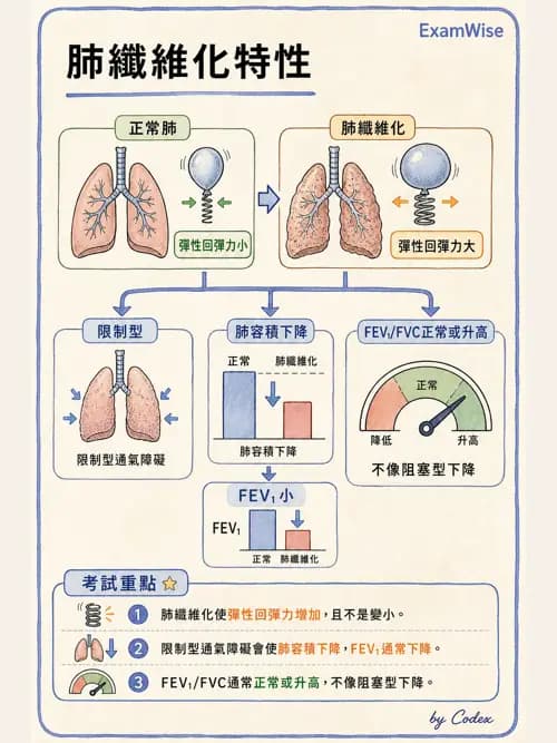 呼吸治療師 - 通氣、呼吸力學與控制 - AI 圖文解析預覽