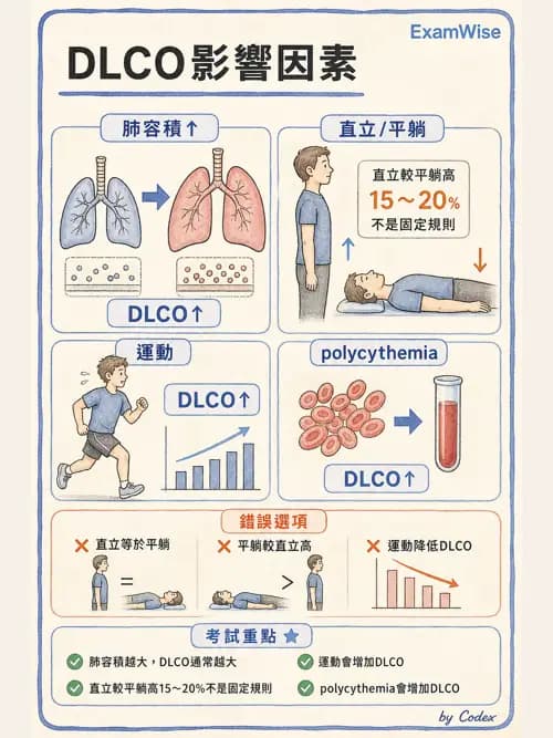 呼吸治療師 - 氣體擴散、交換與肺部代謝 - AI 圖文解析預覽