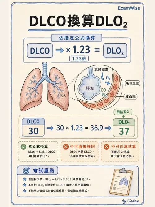 呼吸治療師 - 氣體擴散、交換與肺部代謝 - AI 圖文解析預覽