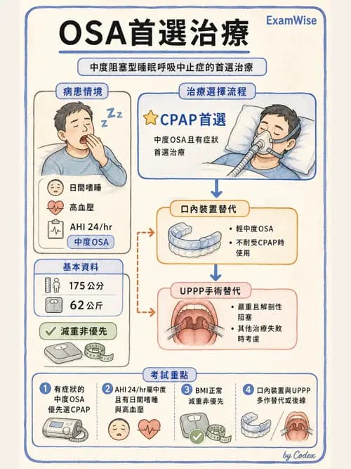 呼吸治療師 - 通氣、呼吸力學與控制 - AI 圖文解析預覽