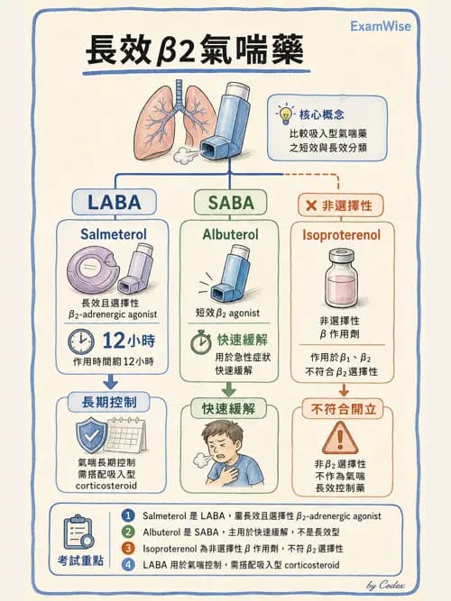 呼吸治療師 - 呼吸系統藥物 - AI 圖文解析預覽